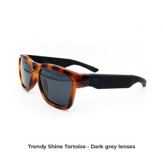 Trendy All Frame Color