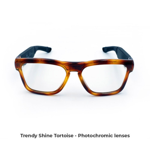 Trendy All Frame Color Trendy All Frame Color