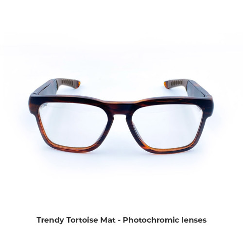 Trendy All Frame Color Trendy All Frame Color